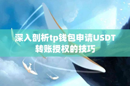 深入剖析tp钱包申请USDT转账授权的技巧