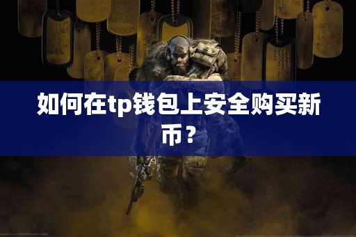 如何在tp钱包上安全购买新币？