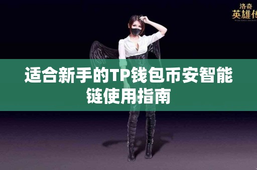 适合新手的TP钱包币安智能链使用指南