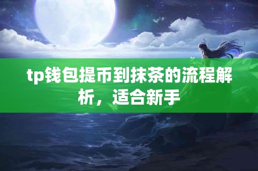 tp钱包提币到抹茶的流程解析，适合新手