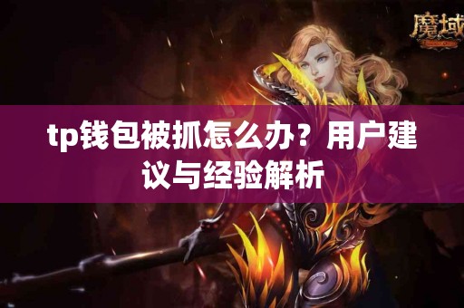 tp钱包被抓怎么办？用户建议与经验解析
