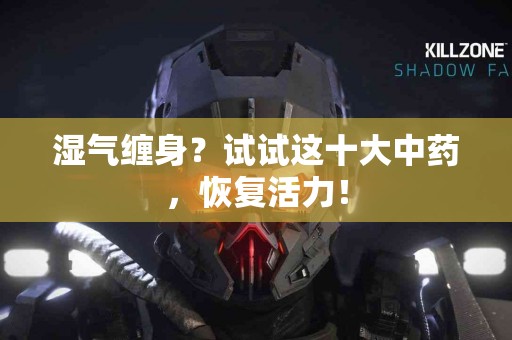 湿气缠身？试试这十大中药，恢复活力！