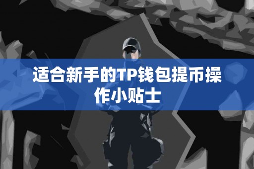 适合新手的TP钱包提币操作小贴士