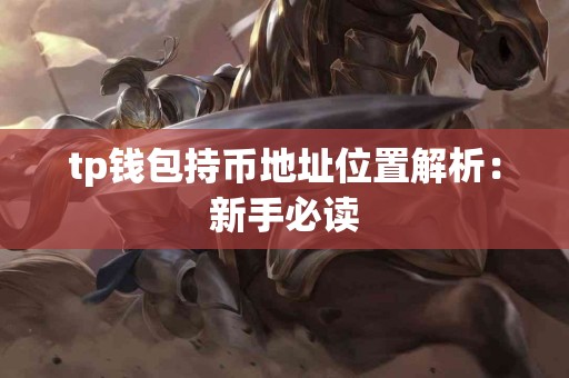 tp钱包持币地址位置解析：新手必读