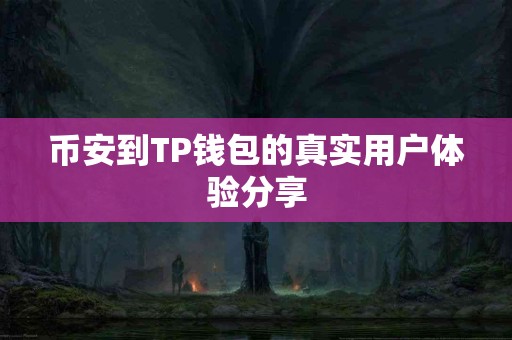 币安到TP钱包的真实用户体验分享