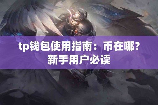 tp钱包使用指南：币在哪？新手用户必读