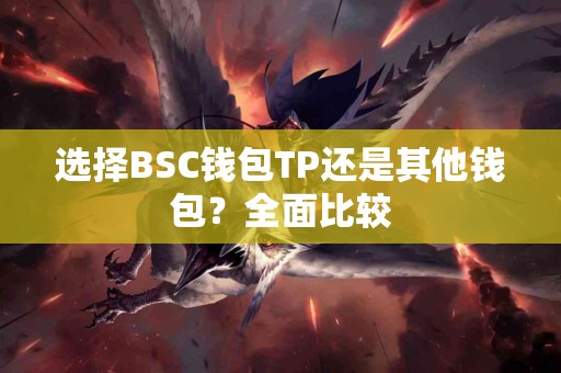 选择BSC钱包TP还是其他钱包？全面比较