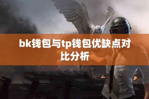 bk钱包与tp钱包优缺点对比分析