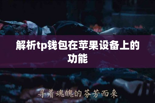解析tp钱包在苹果设备上的功能