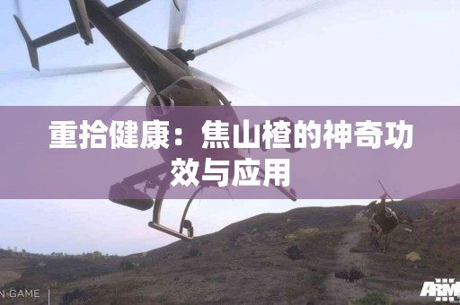 重拾健康：焦山楂的神奇功效与应用