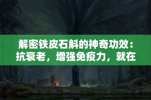 解密铁皮石斛的神奇功效：抗衰老，增强免疫力，就在此刻！