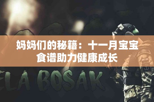 妈妈们的秘籍：十一月宝宝食谱助力健康成长