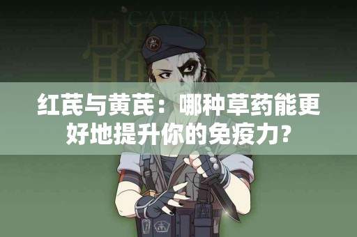 红芪与黄芪：哪种草药能更好地提升你的免疫力？