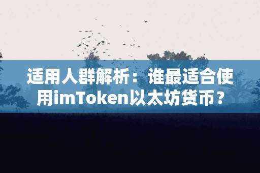 适用人群解析：谁最适合使用imToken以太坊货币？