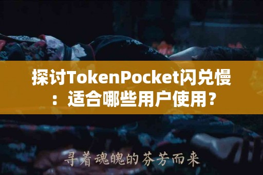 探讨TokenPocket闪兑慢：适合哪些用户使用？