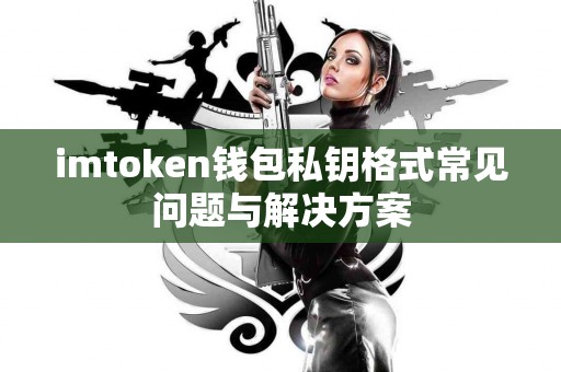 imtoken钱包私钥格式常见问题与解决方案