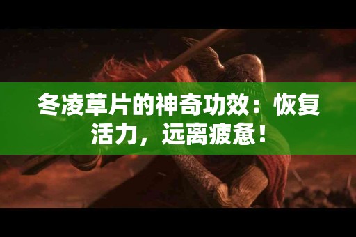 冬凌草片的神奇功效：恢复活力，远离疲惫！