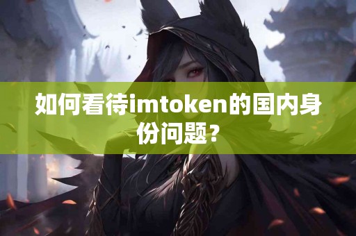 如何看待imtoken的国内身份问题？