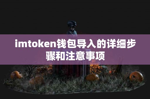 imtoken钱包导入的详细步骤和注意事项