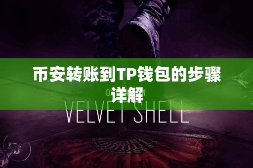 币安转账到TP钱包的步骤详解