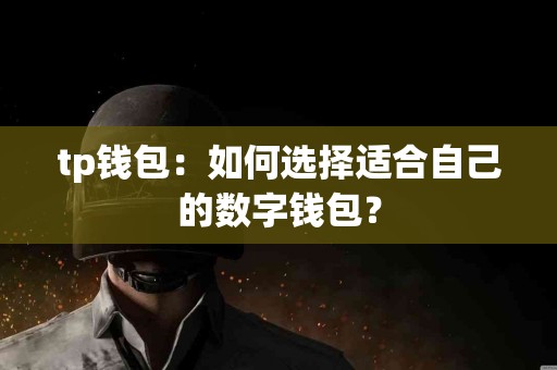 tp钱包：如何选择适合自己的数字钱包？