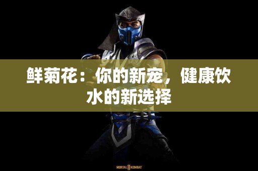 鲜菊花：你的新宠，健康饮水的新选择