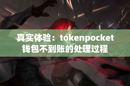 真实体验：tokenpocket钱包不到账的处理过程