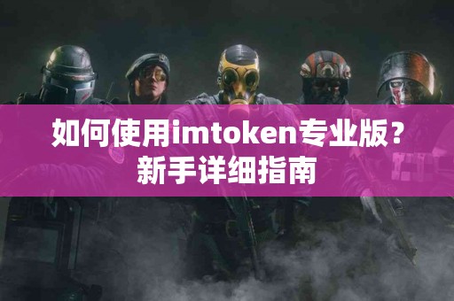 如何使用imtoken专业版？新手详细指南
