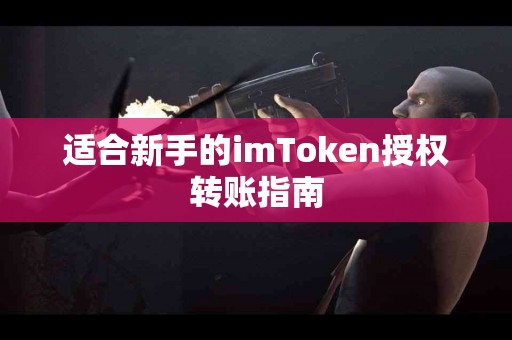 适合新手的imToken授权转账指南