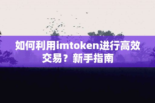 如何利用imtoken进行高效交易？新手指南