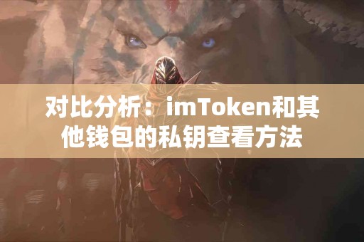 对比分析：imToken和其他钱包的私钥查看方法