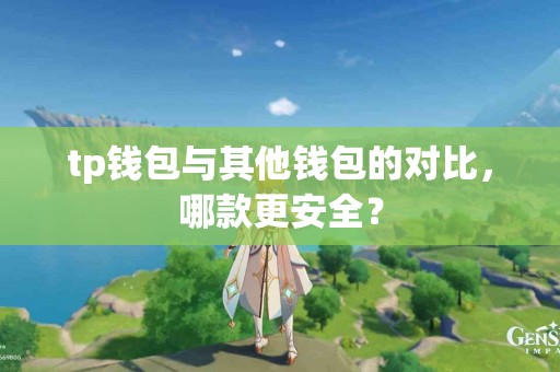 tp钱包与其他钱包的对比，哪款更安全？
