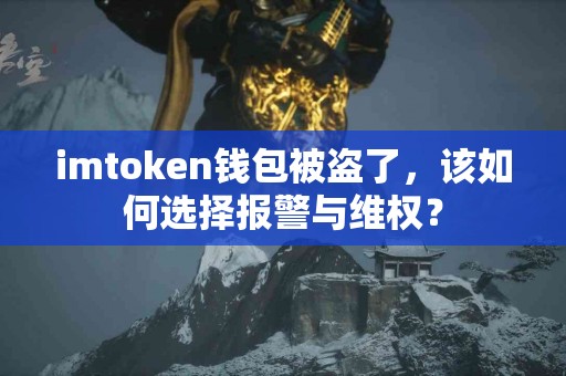 imtoken钱包被盗了，该如何选择报警与维权？