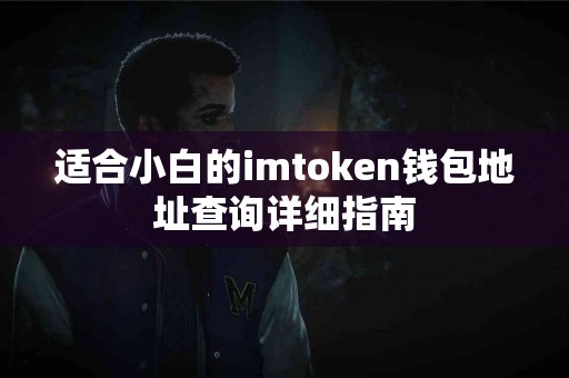 适合小白的imtoken钱包地址查询详细指南