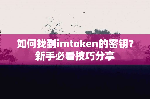 如何找到imtoken的密钥？新手必看技巧分享