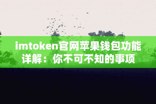 imtoken官网苹果钱包功能详解：你不可不知的事项