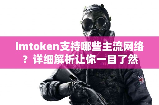 imtoken支持哪些主流网络？详细解析让你一目了然