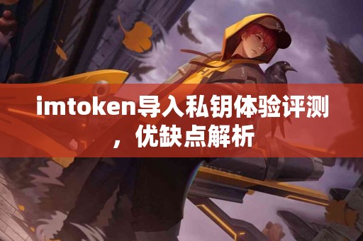 imtoken导入私钥体验评测，优缺点解析