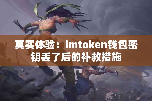 真实体验：imtoken钱包密钥丢了后的补救措施