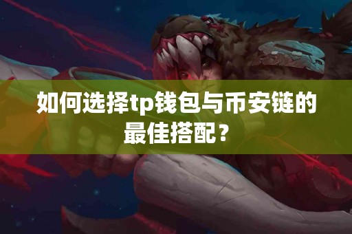 如何选择tp钱包与币安链的最佳搭配？