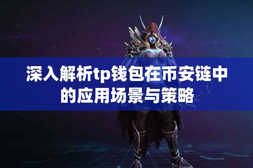 深入解析tp钱包在币安链中的应用场景与策略