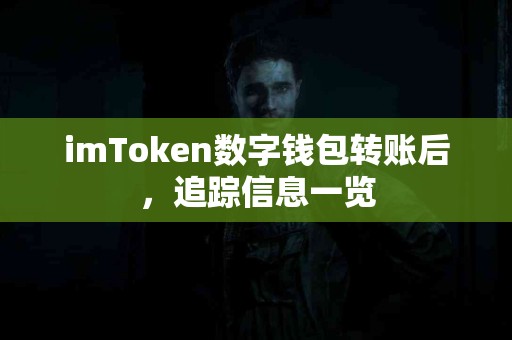 imToken数字钱包转账后，追踪信息一览