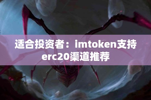 适合投资者：imtoken支持erc20渠道推荐