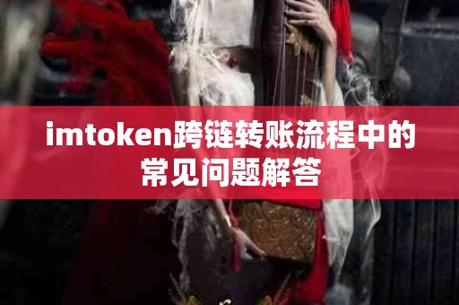 imtoken跨链转账流程中的常见问题解答