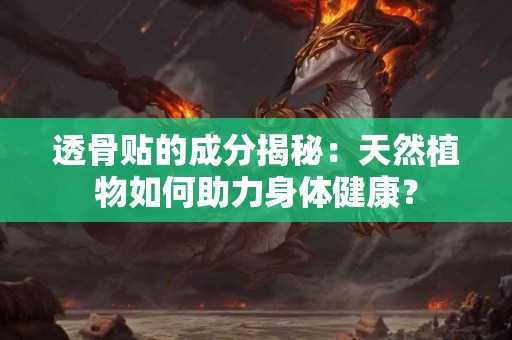 透骨贴的成分揭秘：天然植物如何助力身体健康？