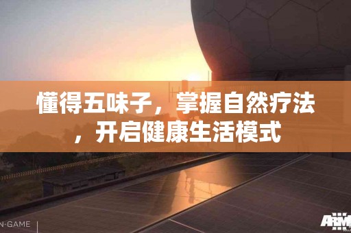 懂得五味子，掌握自然疗法，开启健康生活模式