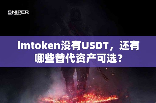 imtoken没有USDT，还有哪些替代资产可选？