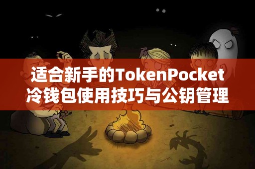 适合新手的TokenPocket冷钱包使用技巧与公钥管理