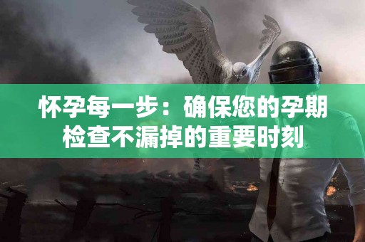 怀孕每一步：确保您的孕期检查不漏掉的重要时刻