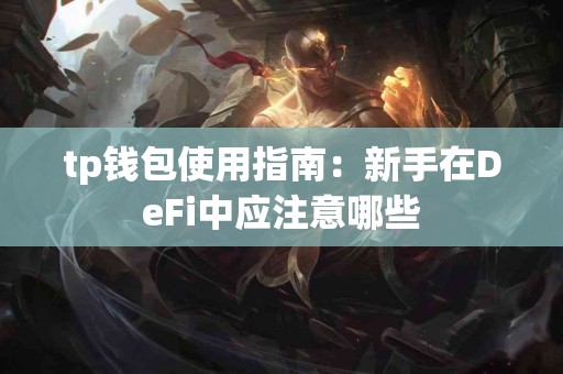 tp钱包使用指南：新手在DeFi中应注意哪些